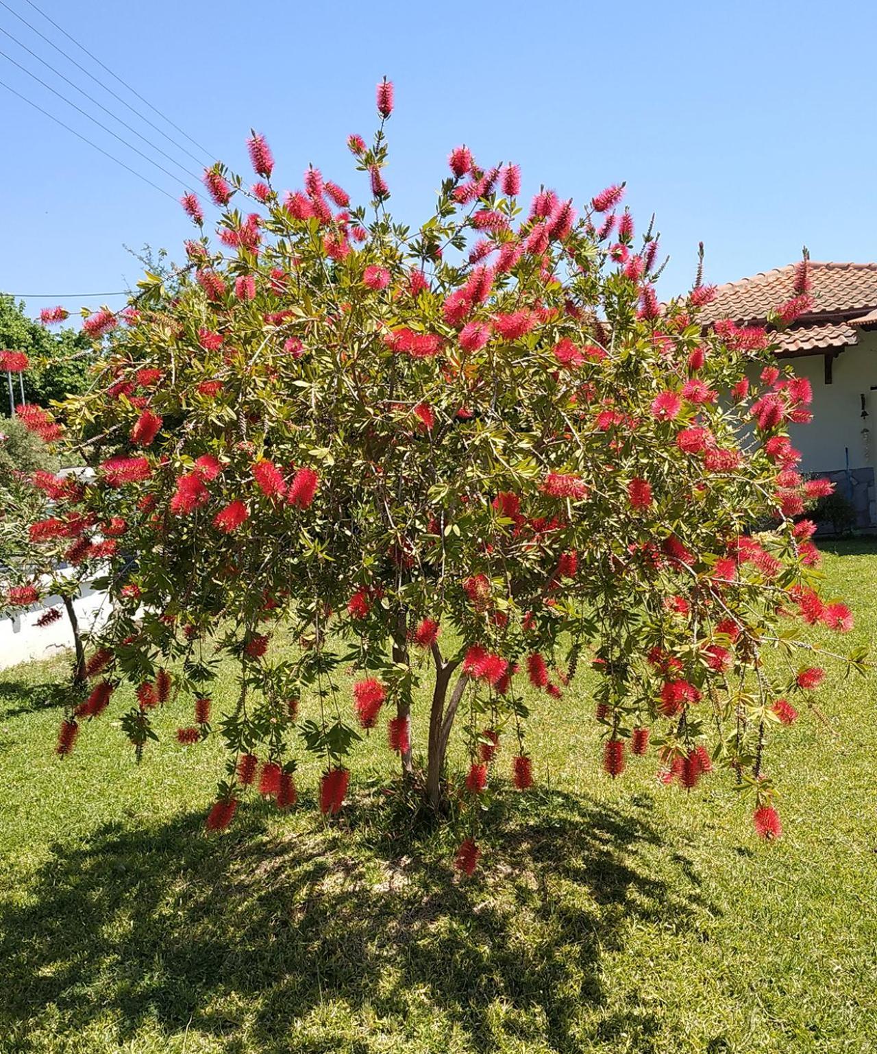 Holiday home Summer House 150m From The For 5 Persons. *